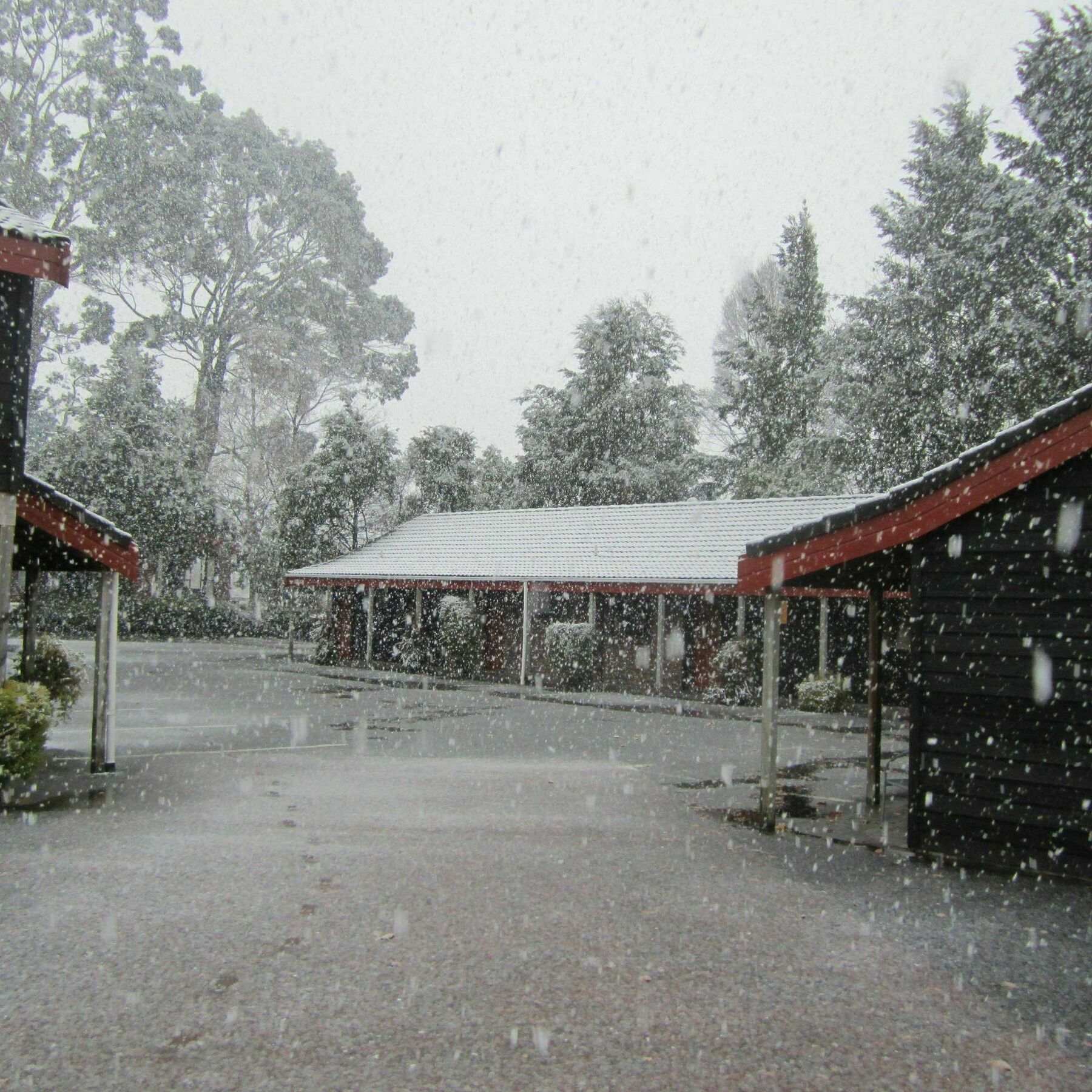 The Hobbit Motorlodge Ohakune Εξωτερικό φωτογραφία